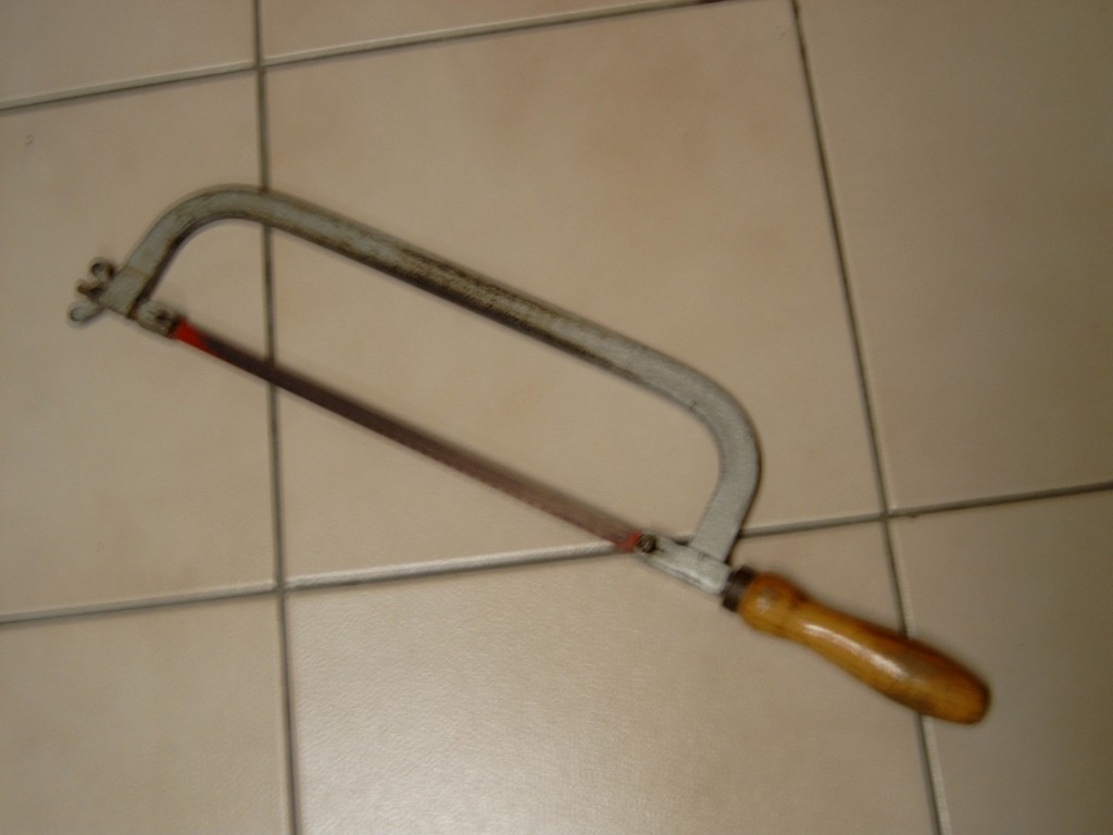 M4100018.JPG