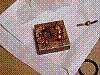 M4100021.JPG